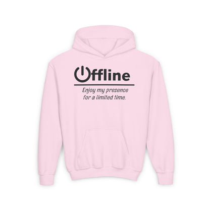 Offline, Enjoy My Presence For A Limited Time | Unisex | Funny Quote Gamer Hoodie