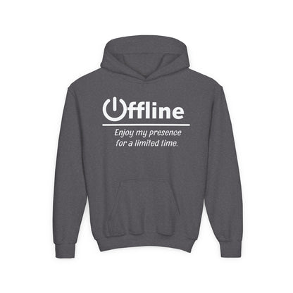 Offline Hoodie - Funny Unisex graphic Hoodie