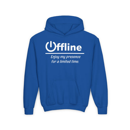 Offline, Enjoy My Presence For A Limited Time | Unisex | Funny Quote Gamer Hoodie