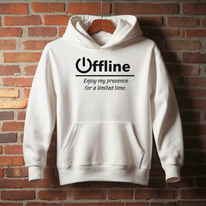 Offline, Enjoy My Presence For A Limited Time | Unisex | Funny Quote Gamer Hoodie