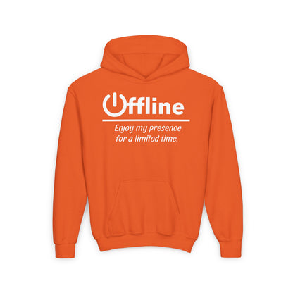 Offline, Enjoy My Presence For A Limited Time | Unisex | Funny Quote Gamer Hoodie